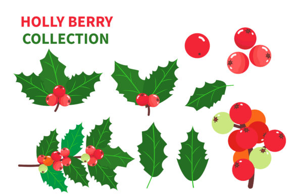 Holly Leaves and Berries Set