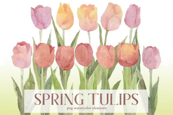 Introducing the Pale Spring Tulips Watercolor Floral Set: A Versatile Tool for Modern Creatives