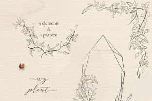 Line Drawing Ivy Plant Illustrations: A Versatile Design Resource for Creators and Professionals