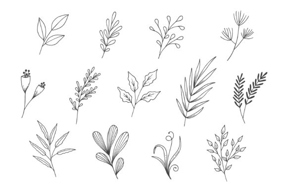 Natural Leaves Line Art Collection: A Versatile Resource for Creative and Professional Projects