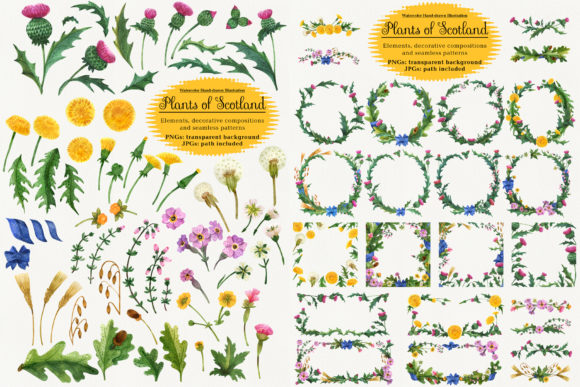 Plants of Scotland Watercolor
