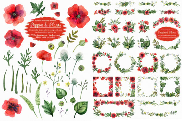 Poppies and Wild Plants: A Versatile Resource for Creative and Practical Applications