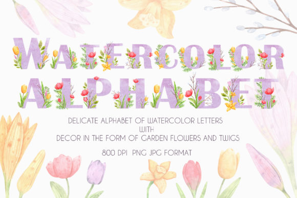 Watercolor Alphabet: A Versatile Design Resource for Creative and Professional Workflows