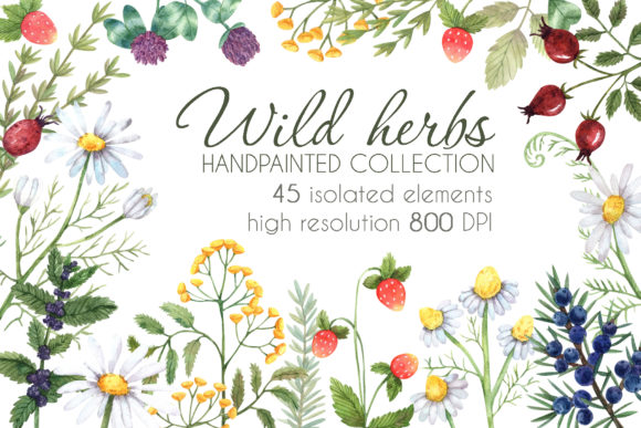 Wild Herbs Watercolor Set: A Versatile Resource for Creative Projects